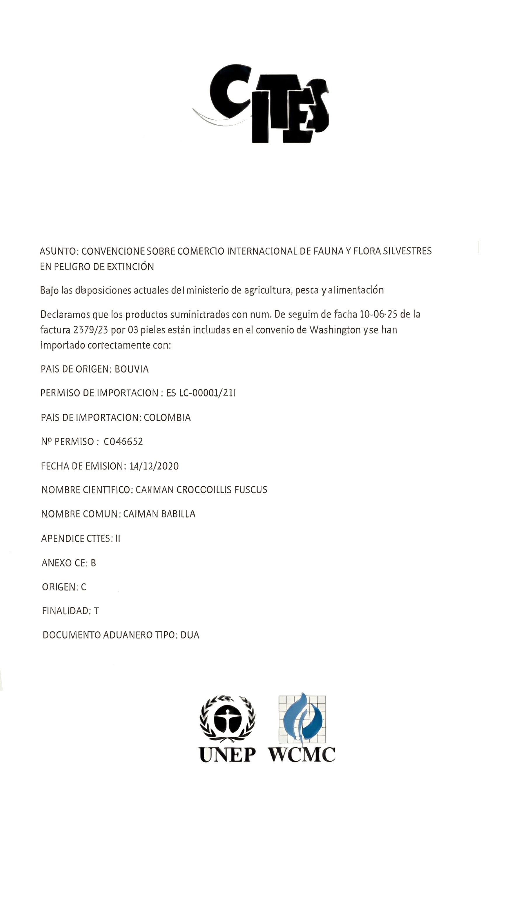 Riñonera de Bío -Material + detalles en caiman
